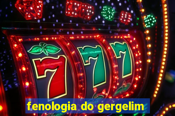 fenologia do gergelim